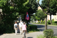 Druga piesza pielgrzymka z osiołkami szlakiem "Pani w słońcu" (15.06.2025)