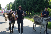 Druga piesza pielgrzymka z osiołkami szlakiem "Pani w słońcu" (15.06.2025)