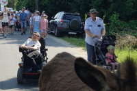Druga piesza pielgrzymka z osiołkami szlakiem "Pani w słońcu" (15.06.2025)