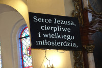 Druga piesza pielgrzymka z osiołkami szlakiem "Pani w słońcu" (15.06.2025)
