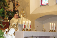 Druga piesza pielgrzymka z osiołkami szlakiem "Pani w słońcu" (15.06.2025)