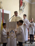PEREGRYNACJA OBRAZU MATKI BOŻEJ CZĘSTOCHOWSKIEJ (cz. II)